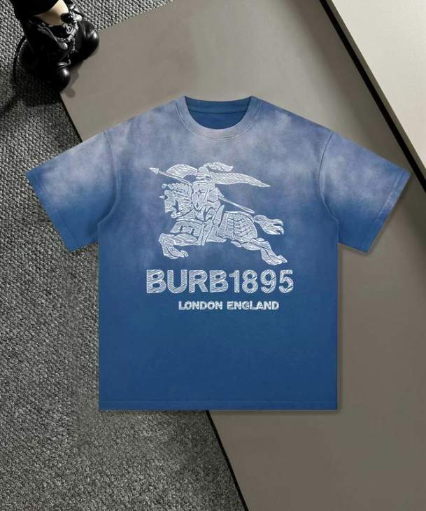 Picture of Burberry T Shirts Short _SKUBurberryS-2XL11Lr12720014